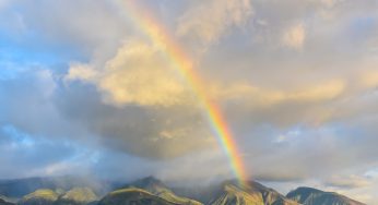 Maui’s Relief Fund Embraces Cryptocurrencies Championed by Oprah and The Rock